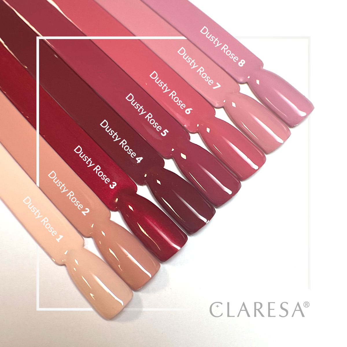 2-CLARESA-2